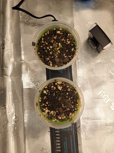 16969487150834790313855647850439