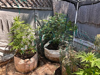 IMG_3042