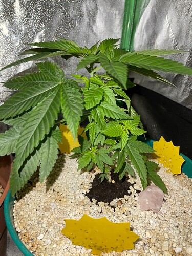 40E892DB-69C6-4904-8B0F-491805E13020