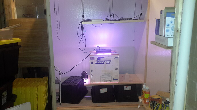 16040111501711532072142