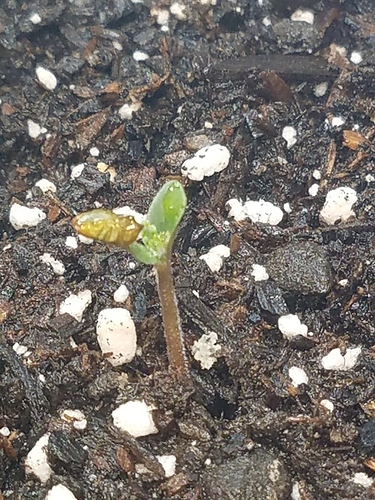 20191113_153940