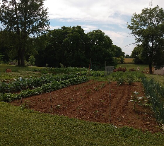 IMG_20220612_163717501~2