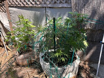 IMG_3044