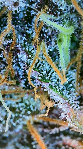 2022_12_19_15_01_05_269