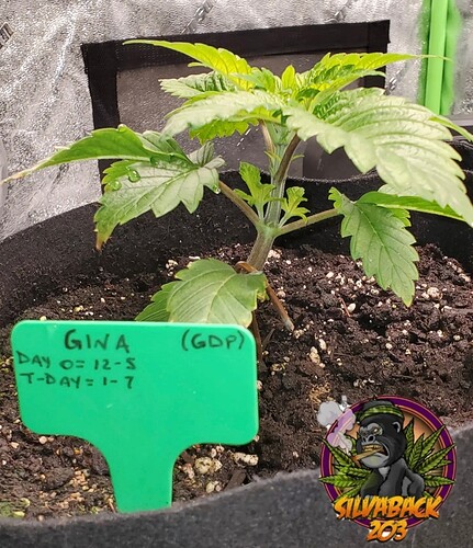 Screenshot_20220126-052602_Gallery