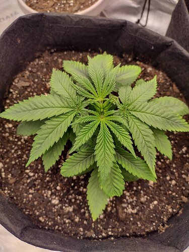 IMG_20241031_134137777_HDR