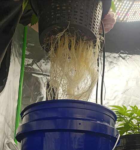 received_812002240763793