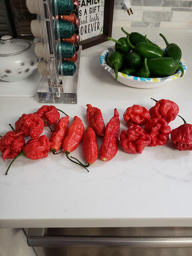 HotPeppers