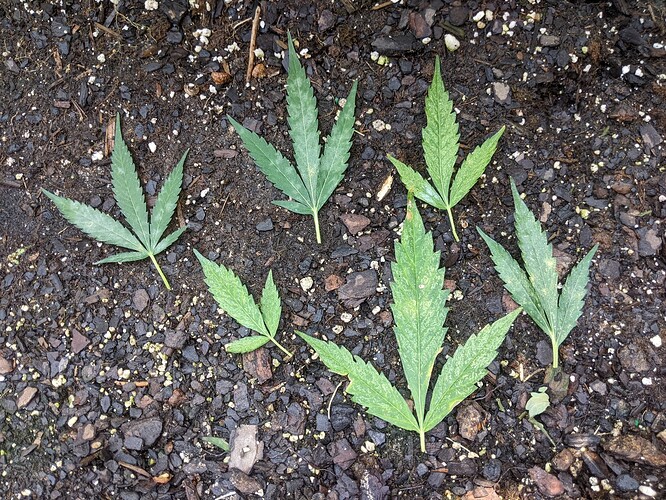 PXL_20230823_164125647