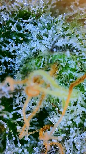 2022_08_15_09_28_08_926