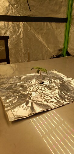 20210201_192445