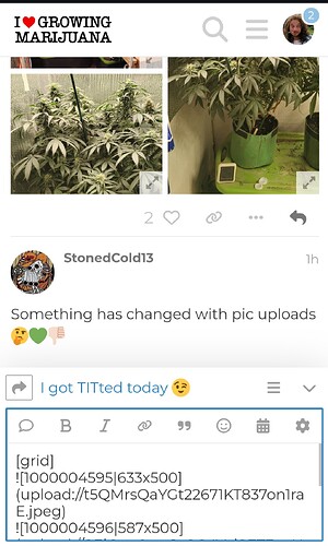 1000004606