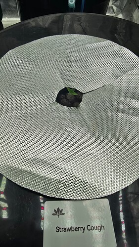 1000011964