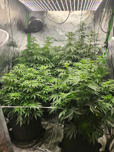 week9