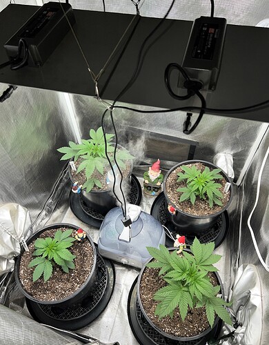 3-21-22 update
