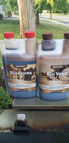 16241016323075561066201794143700