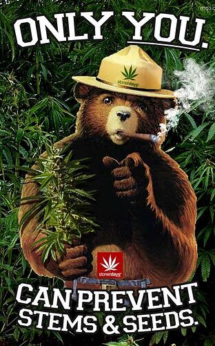 4c71699c043eb7421be28e7ce96ffd24--weed-memes-marijuana-memes
