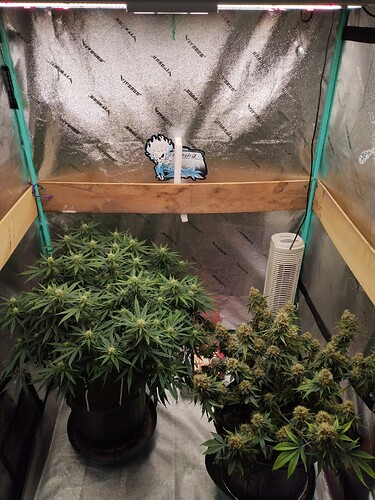 IMG_20231224_041926488