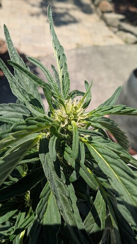 PXL_20250713_185612103