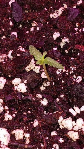 20191126_162048