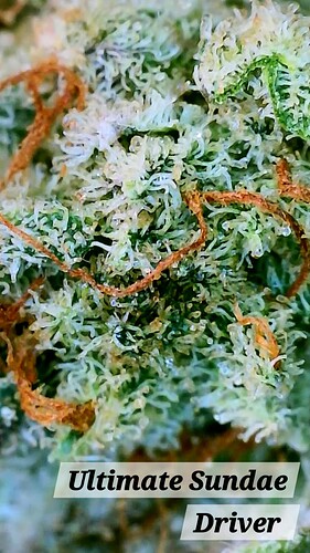 2024_02_11_17_54_55_920