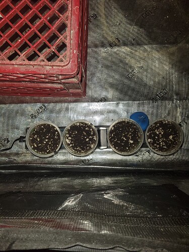 16967070481114553284028914208792