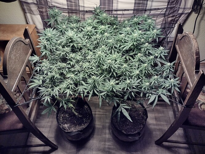 IMG_20220121_213450799_HDR