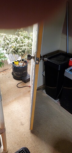 17018959838408589510815671738347