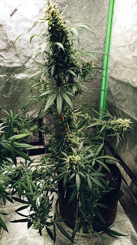 20250830_154048_HDR