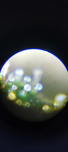 20211103_185850