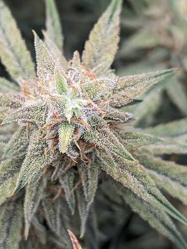 PXL_20230303_000005458