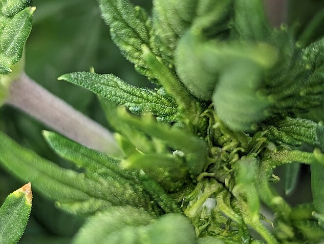 PXL_20230125_004827406