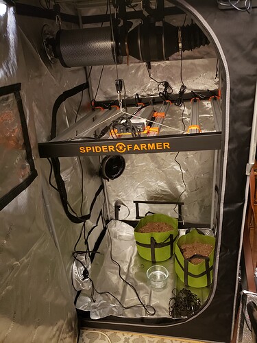 Resized_20221123_225038