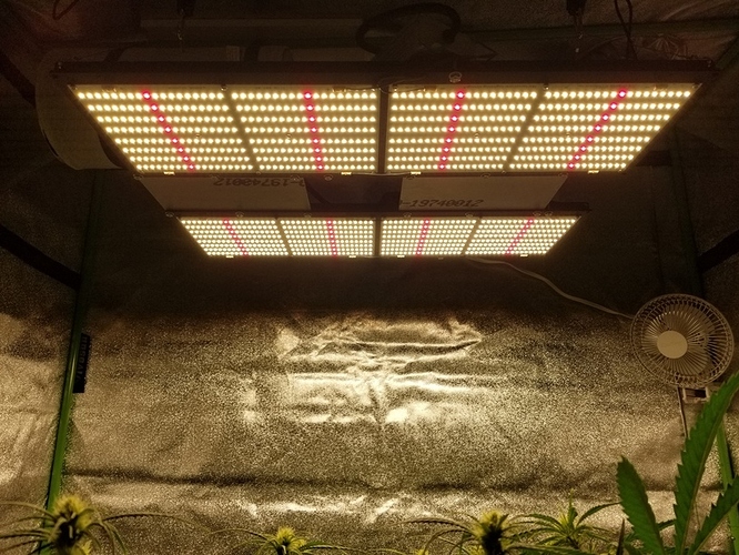 New light