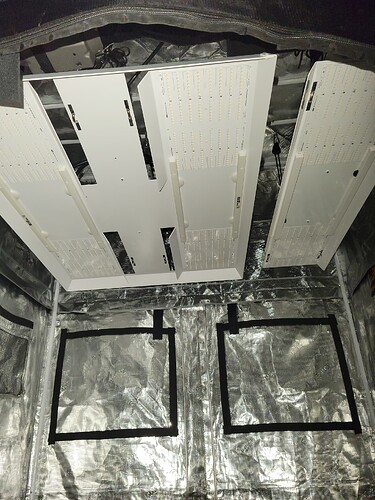 1696707116683363394500172134762