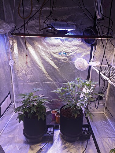 PXL_20240105_222105197