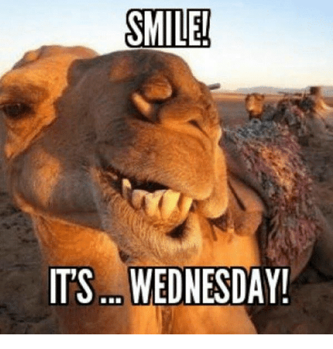 smile-wednesday-meme (4)