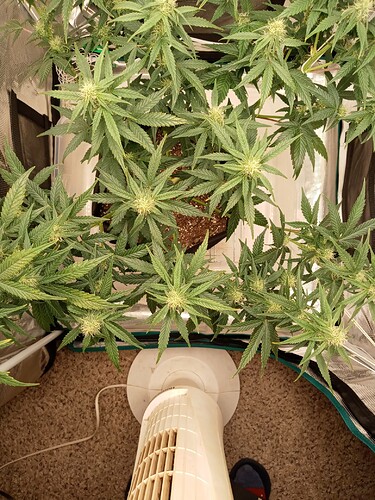 20220213_133210_Burst01