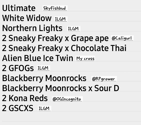 Screenshot_20250704_155013_ColorNote