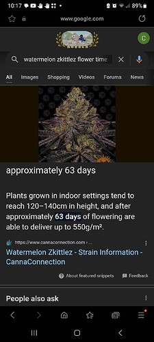 Screenshot_20240907_101743_Samsung Internet