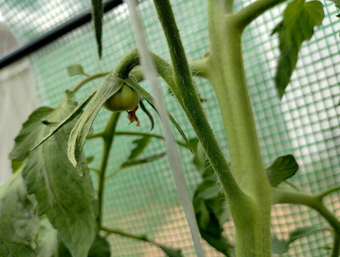 IMG_20250227_133749809_HDR