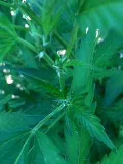 66439185_349578925734024_3832400537991512064_n