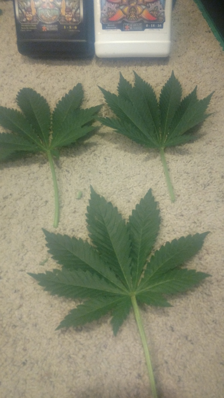 IMG_20190417_182550240