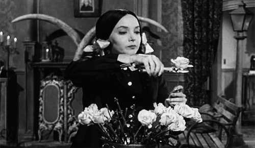 04041a3f945f65af656a978a7c893cab