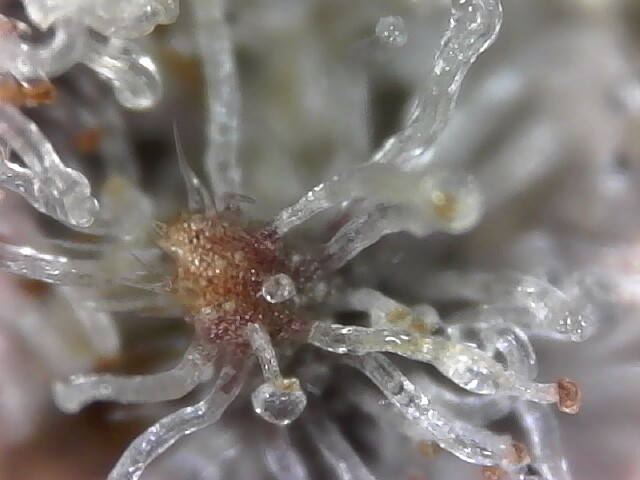 S20220603_0009