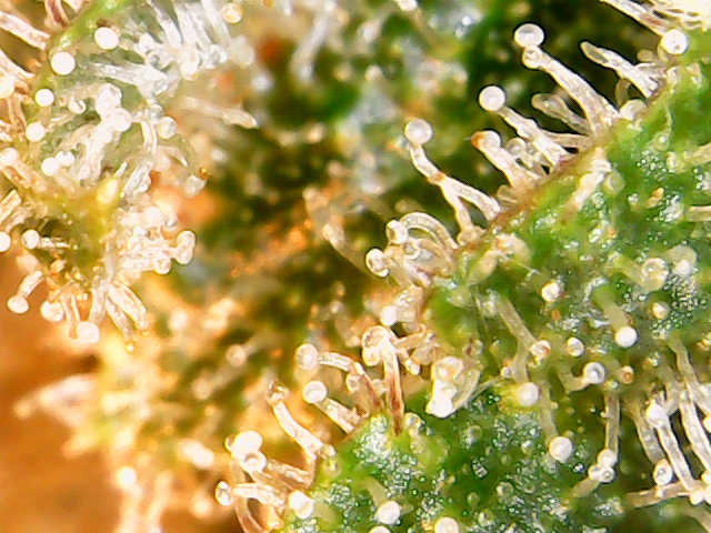 2020-03-11_20-08-03-55