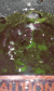 20191207_141041