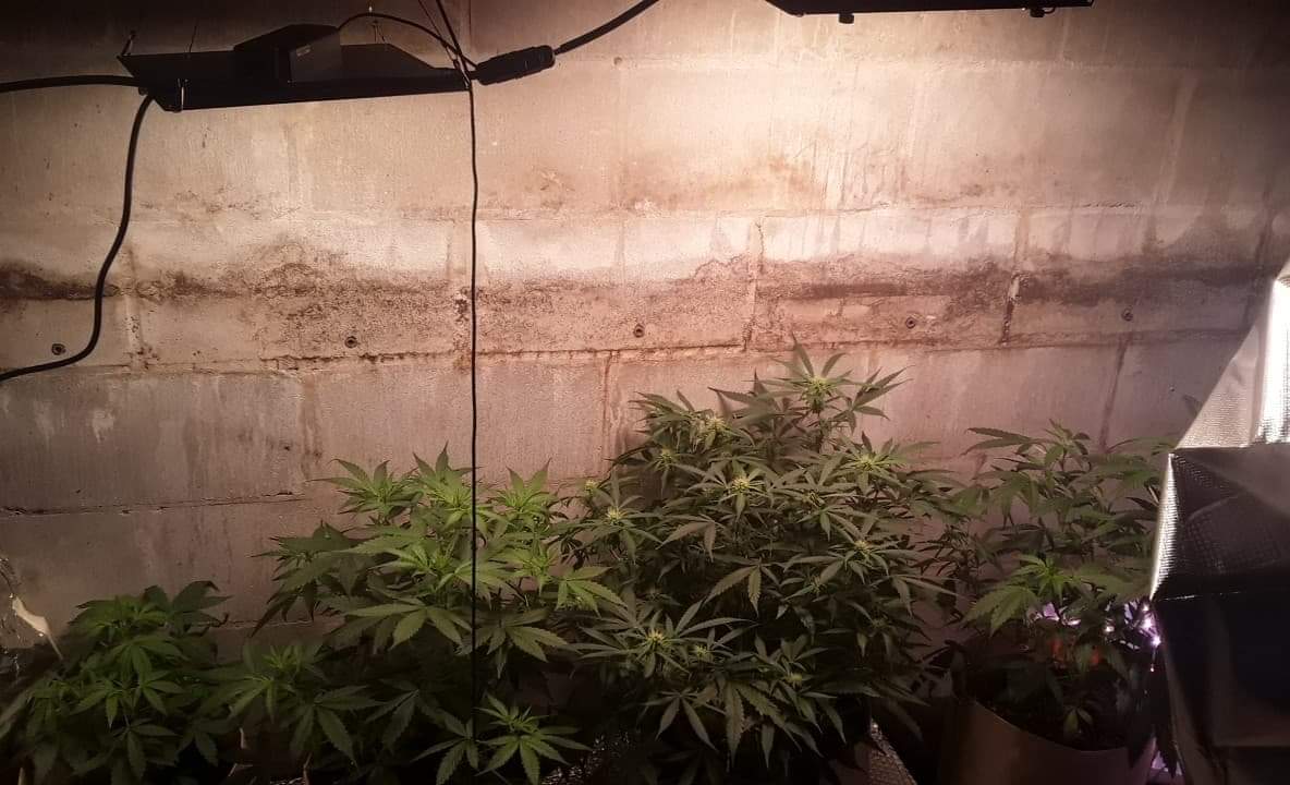 received_403260570661470