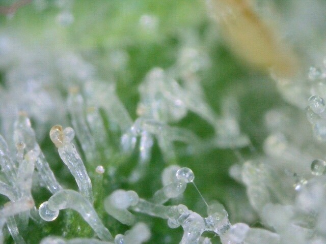 usbcamera20220106211753