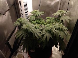 IMG_20210628_1